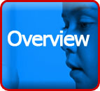 Overview